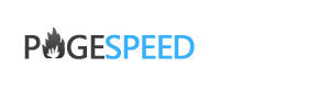 Pagespeed Logo
